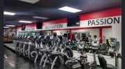 Alpha Fitness