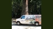 Restore Your Floor Hardwood Flooring