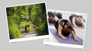 Yoga Sol Studio