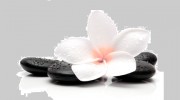 Zen Acupuncture