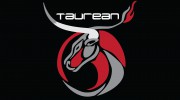 Taurean Consulting Group