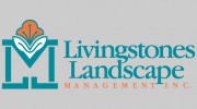 Livingstones Landscape