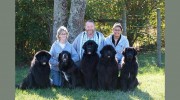 Winding Creek Kennels