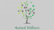Clear Lakes Animal Wellness Of Skaneateles