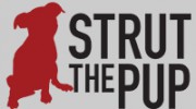 Strut The Pup