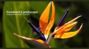 Goodwin Lawn Care
