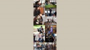 S2S Functional Performance