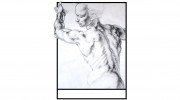Kinetic Orthopaedic
