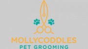 Mollycoddles Pet Grooming