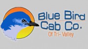 Blue Bird Cab