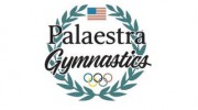Palaestra Gymnastics Academy