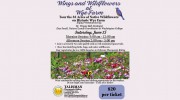 Talisman Therapeutic Riding