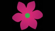 Shakopee Florist