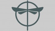 Aerial Dragonfly Movement Studio
