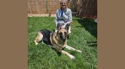 Wagging Tails Pet Care By Ann Marie