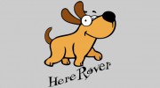 Here Rover