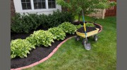 Shoreline Landscape & Maintenance