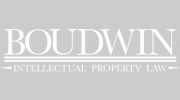 Global Intellectual Property