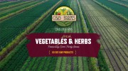 C & B Farms
