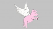 Pigwidgeon Events