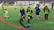 Vikings Youth Soccer League