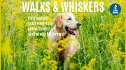 Walks & Whiskers