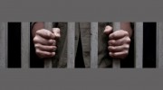 All Out Bail Bonds