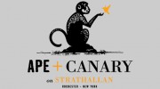 Ape + Canary