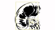 Golden Spiral Studio