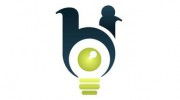 The Brand Insight