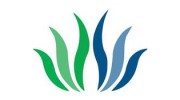 Healing Solutions Acupuncture