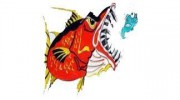 North Myrtle Beach Fishing Charters