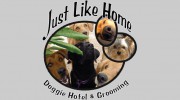 Just Like Home Doggie Hotel & Grooming