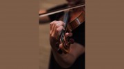 Chris Heins String Studio