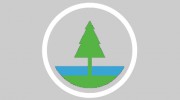 Bayside Tree