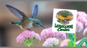 Madison Earthcare