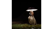 Photography By Steve & Jane