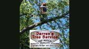 Darren's Tree Service