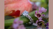 The Jewel Box
