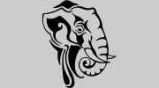 Pachyderm Recording Studio