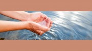 Bay Environmental Strategies