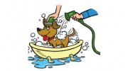 All Paws Pet Wash