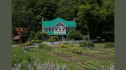 The Mast Farm Inn