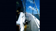 Mangroveman Charters