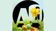 Aquidneck Pizzeria & Bar
