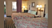 Executive Inn & Suites Springdale