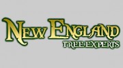 New England Tree Experts