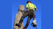 Discount Tree Service