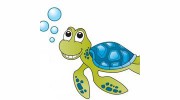 Anderson Pediatric Dentistry PA