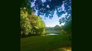 Piney Point Golf Club Maintenance